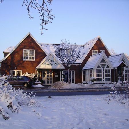 Hotel Waldquelle Аурих Экстерьер фото